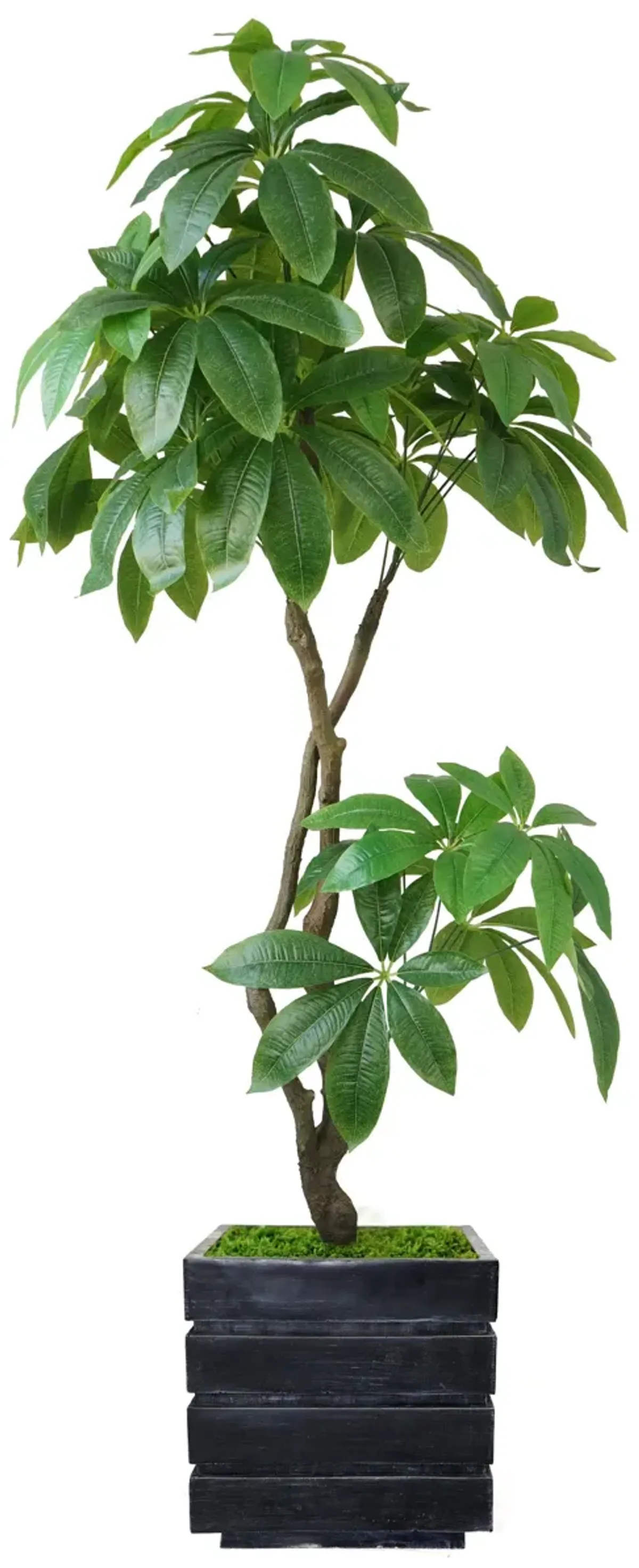 72" Artificial Faux Real Touch Money Tree with Eco Planter
