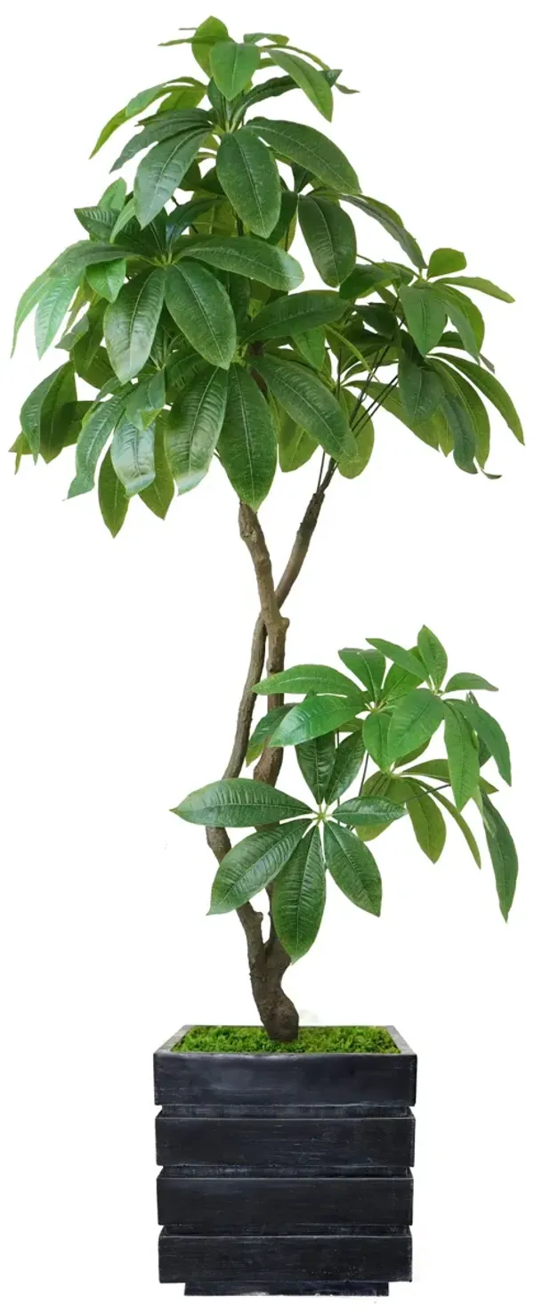 72" Artificial Faux Real Touch Money Tree with Eco Planter
