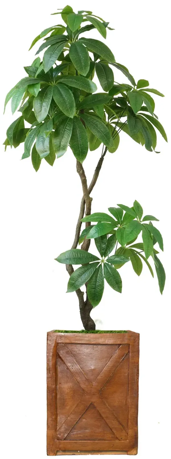 72" Artificial Faux Real Touch Money Tree with Eco Planter | Indoor and Outdoor Use