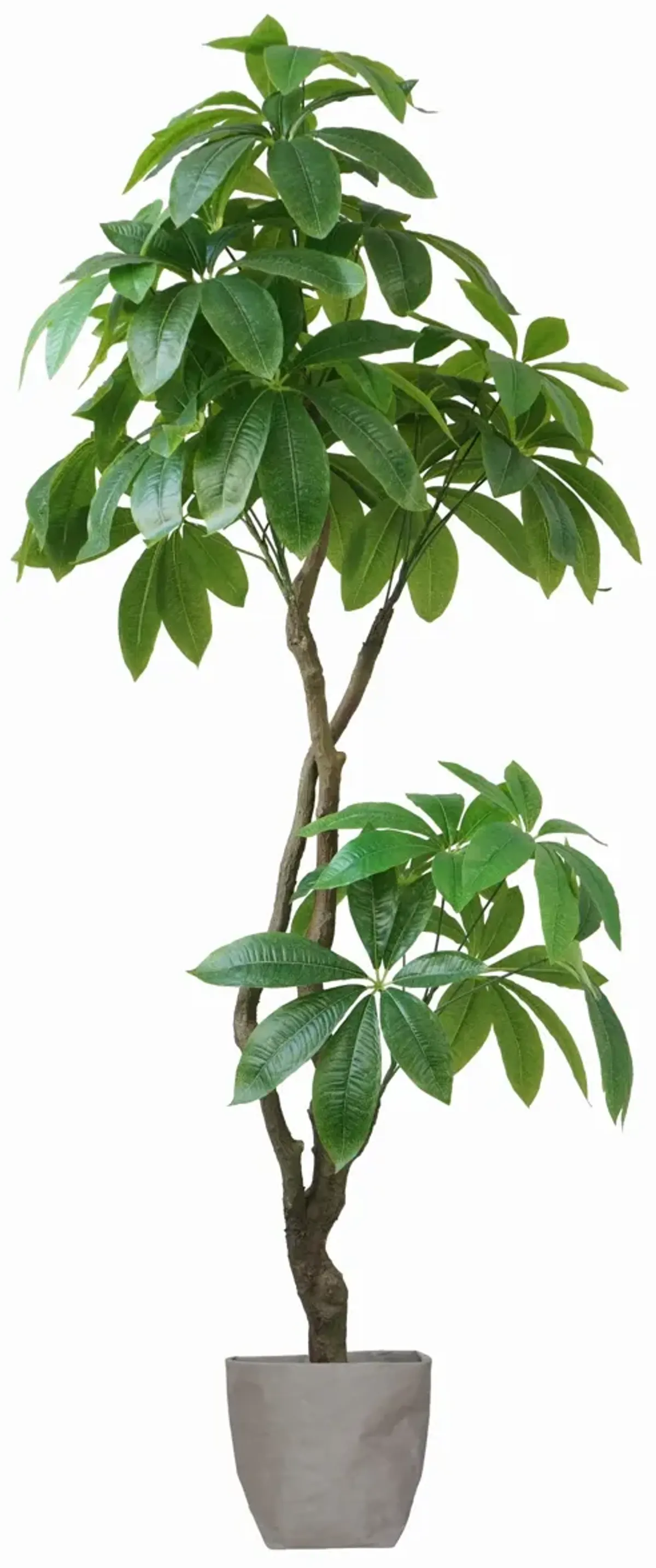 72" Artificial Faux Real Touch Money Tree with Eco Planter | Indoor and Outdoor Use