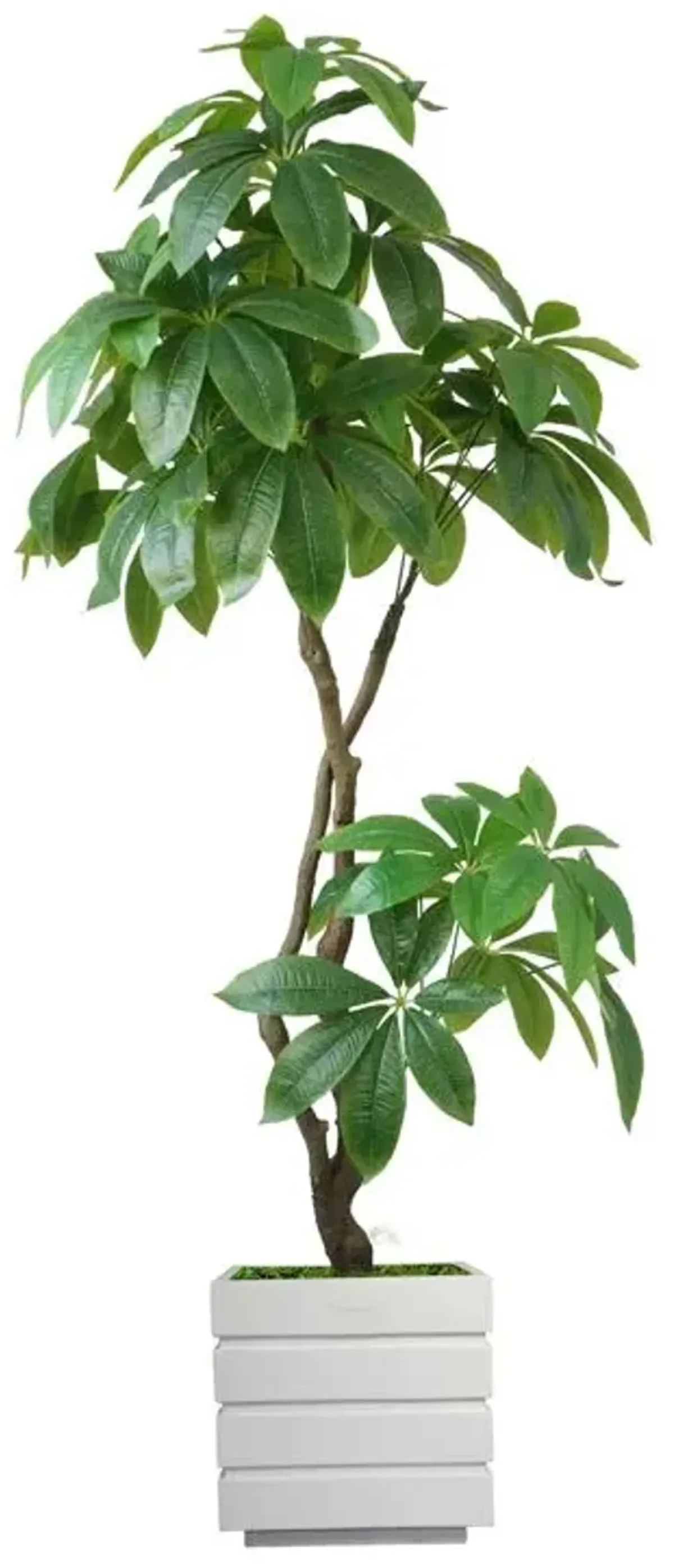 72" Artificial Faux Real Touch Money Tree with Eco Planter | Indoor and Outdoor Use