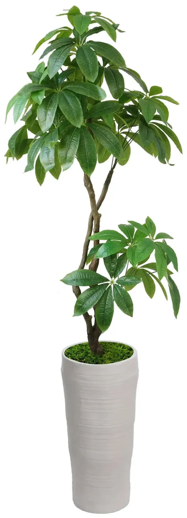 72" Artificial Faux Real Touch Money Tree with Eco Planter