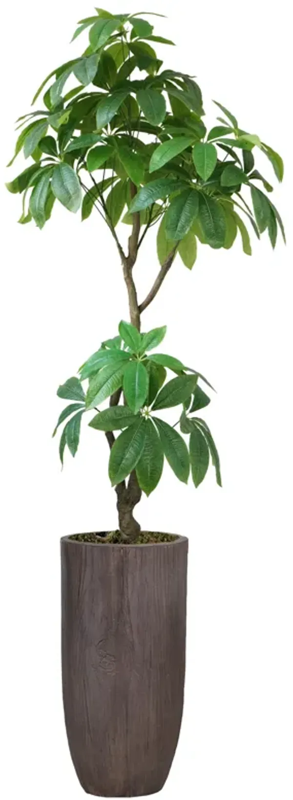 72" Artificial Faux Real Touch Money Tree with Eco Planter | Indoor and Outdoor Use