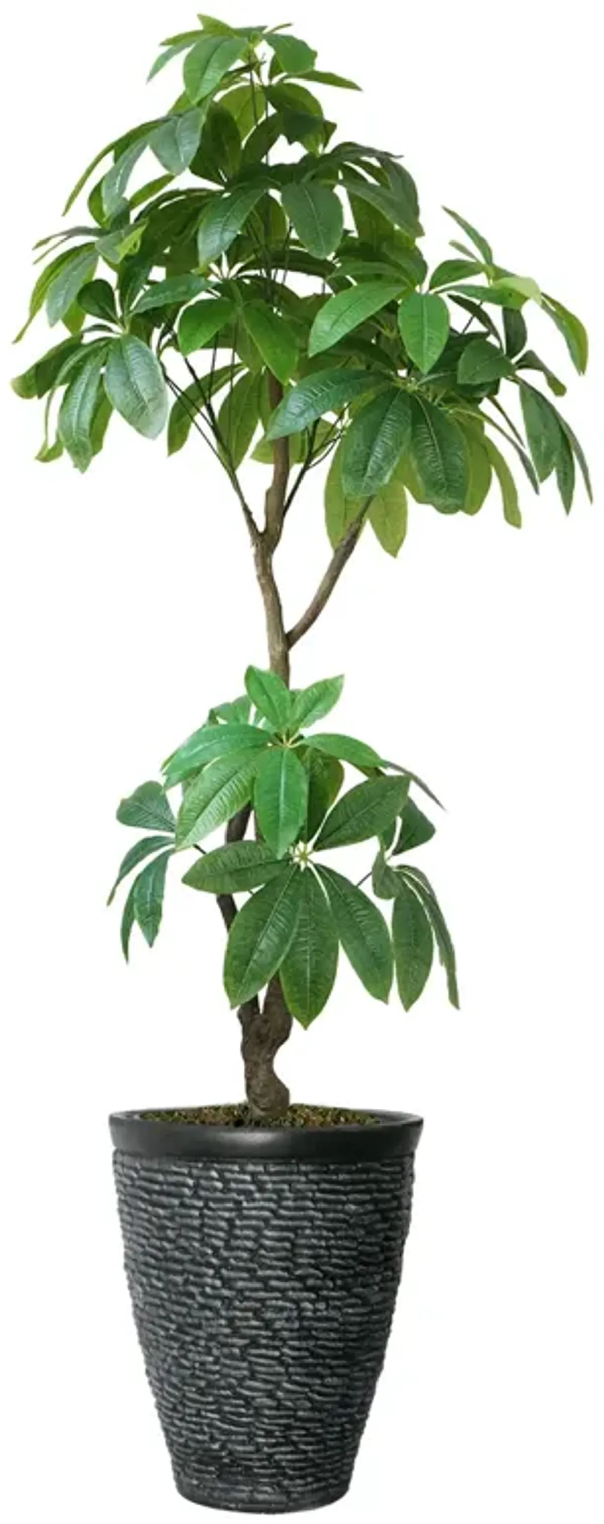 72" Artificial Faux Real Touch Money Tree with Eco Planter