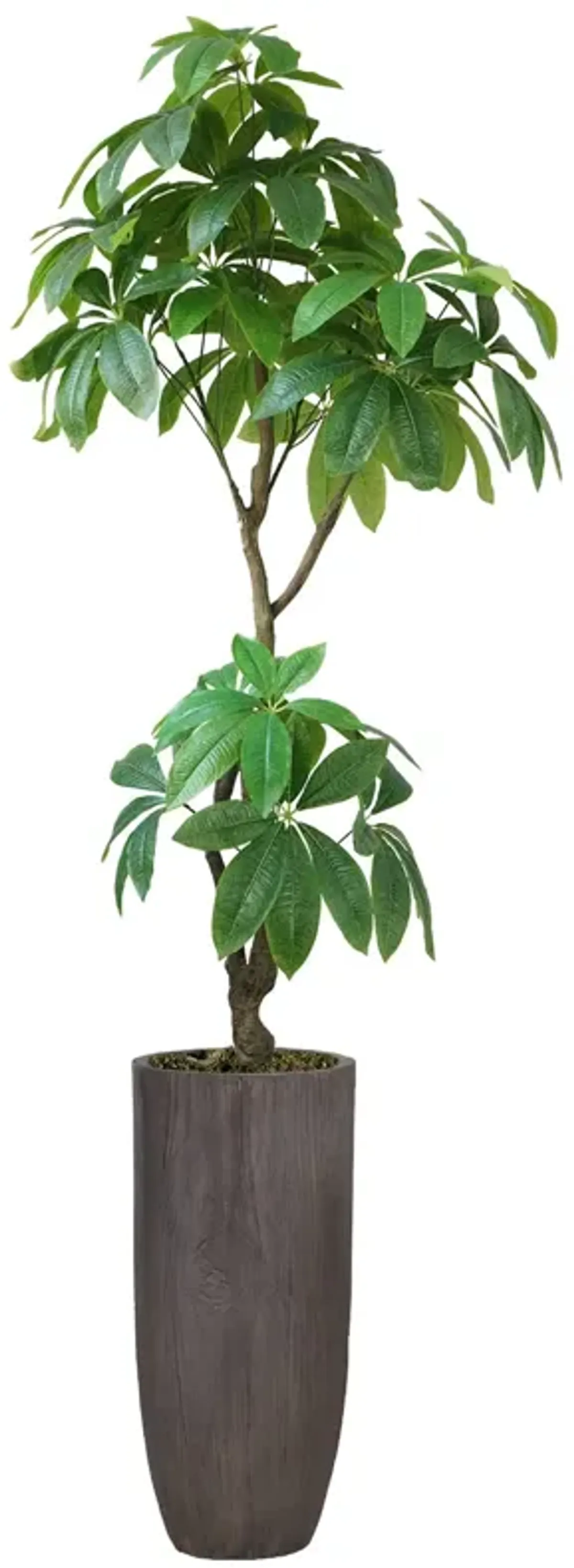 72" Artificial Faux Real Touch Money Tree with Eco Planter | Indoor and Outdoor Use
