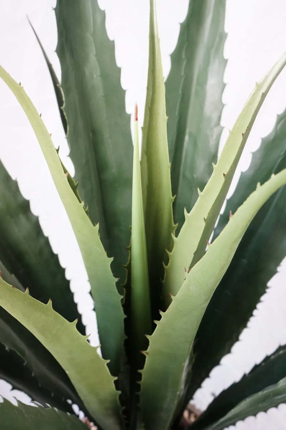 Artificial Faux Real Touch Agave Plant | Indoor and Outdoor | By Vintage Home