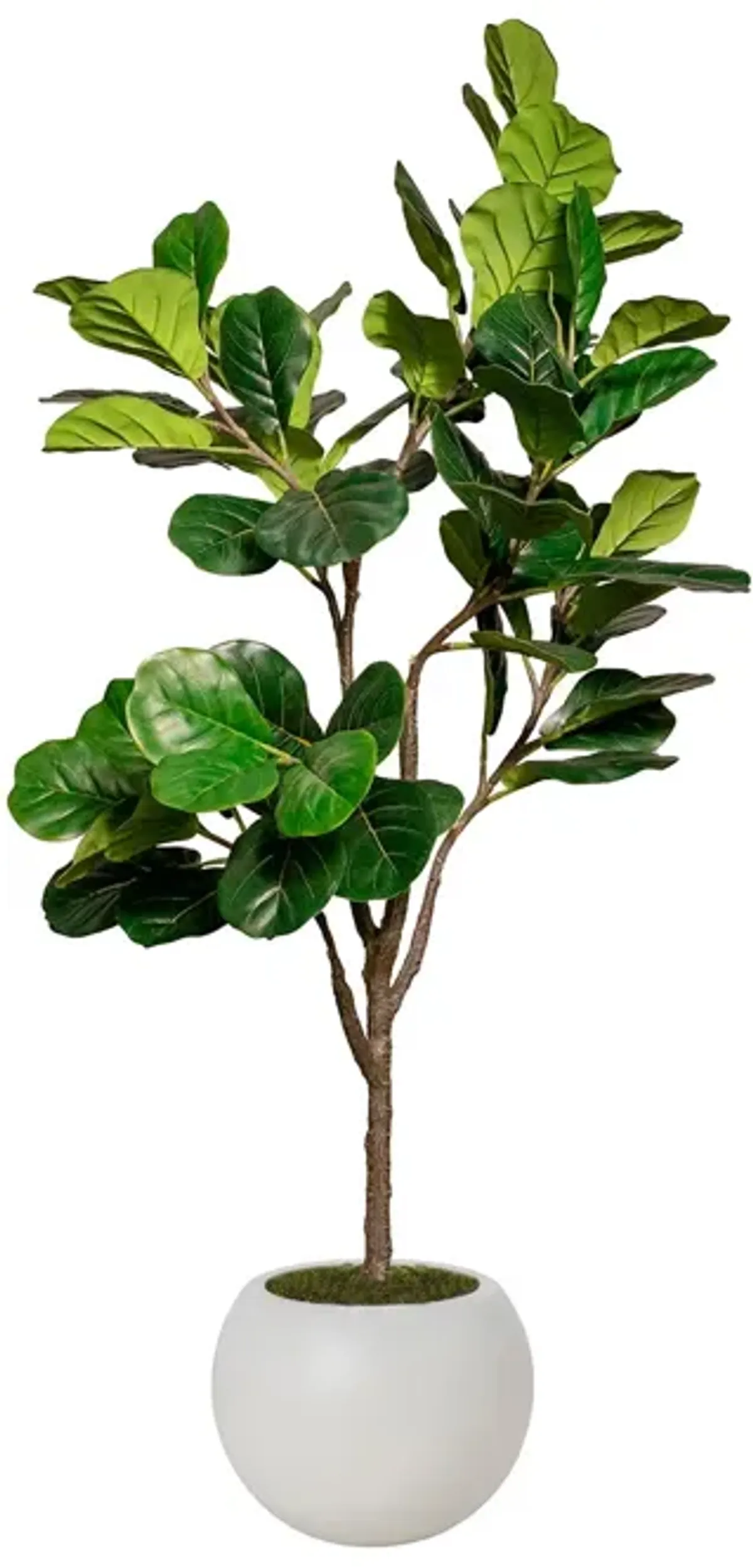 Vintage Home Artificial Faux Fig Tree  68" Large Fake Plant Real Touch Indoor Home and Office Accent Décor with Eco Planter