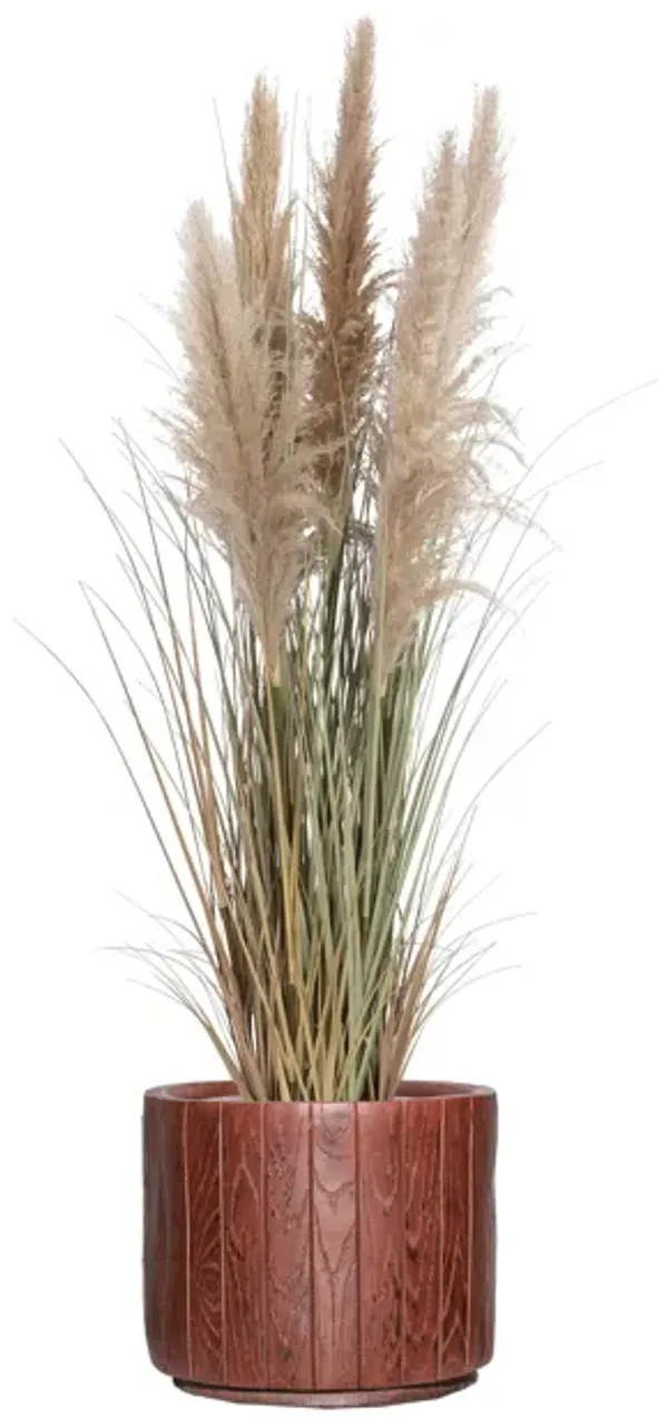 60" Tall Faux Beige Pampas Grass