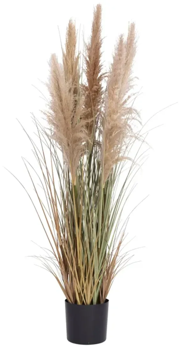 60" Tall Faux Beige Pampas Grass | Vintage Home