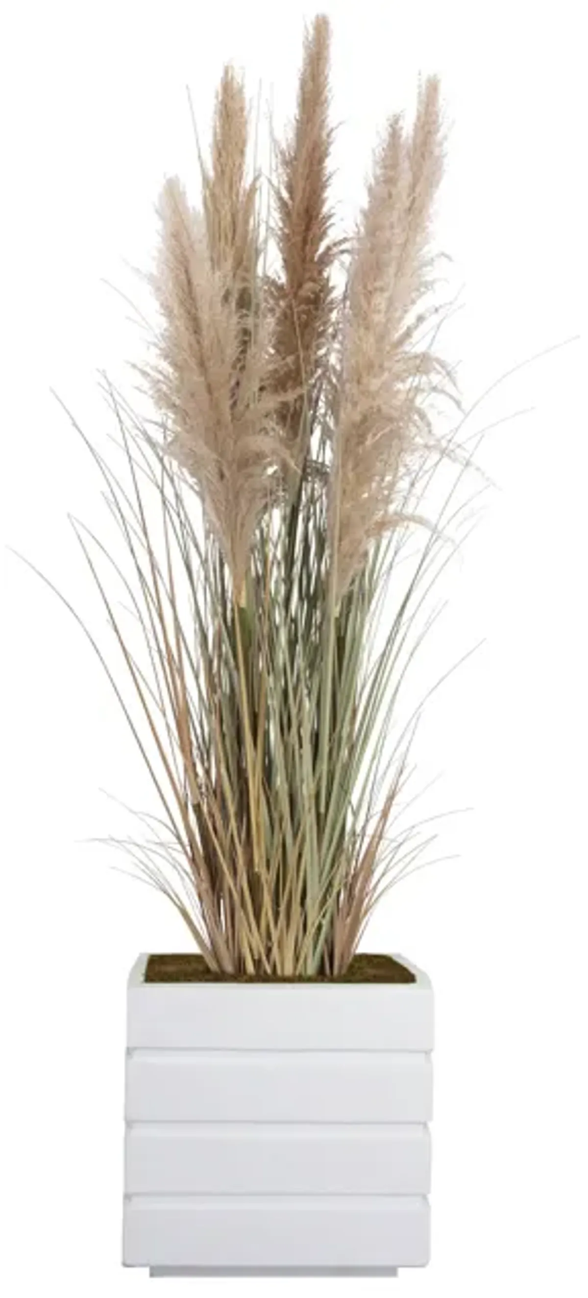 60" Tall Faux Beige Pampas Grass