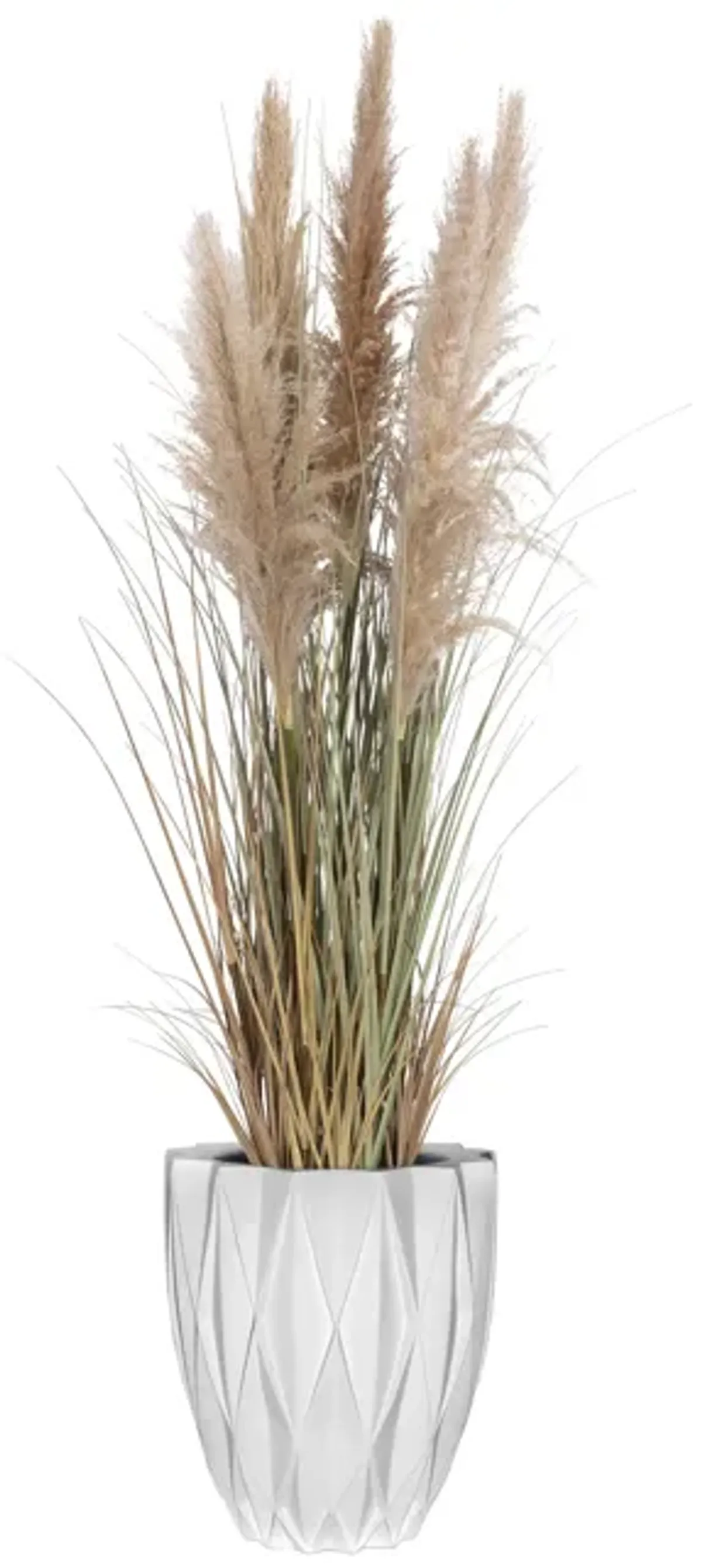 60" Tall Faux Beige Pampas Grass