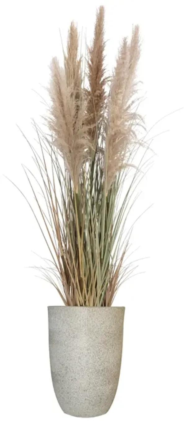 60" Tall Faux Beige Pampas Grass | Vintage Home