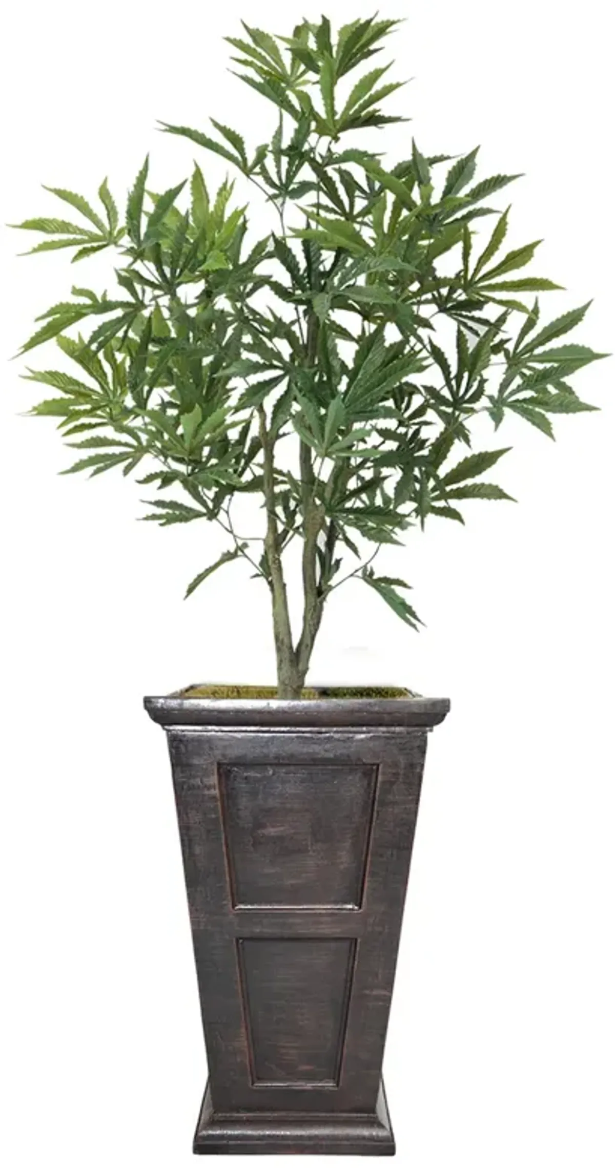 36" Faux Artificial Cannabis Plant – Realistic Lifelike Indoor Décor for Home & Office
