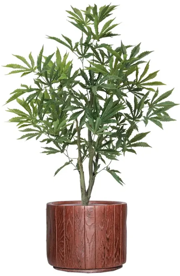 36" Faux Artificial Cannabis Plant – Realistic Lifelike Indoor Décor for Home & Office