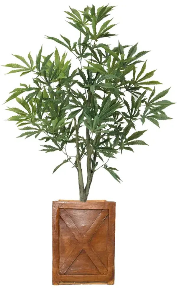 36" Faux Artificial Cannabis Plant – Realistic Lifelike Indoor Décor for Home & Office