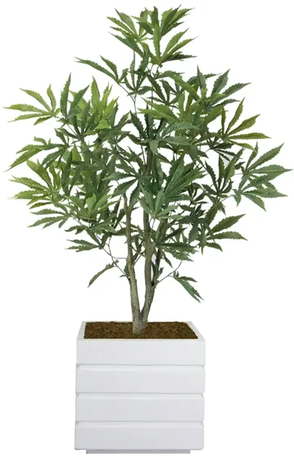 36" Faux Artificial Cannabis Plant – Realistic Lifelike Indoor Décor for Home & Office
