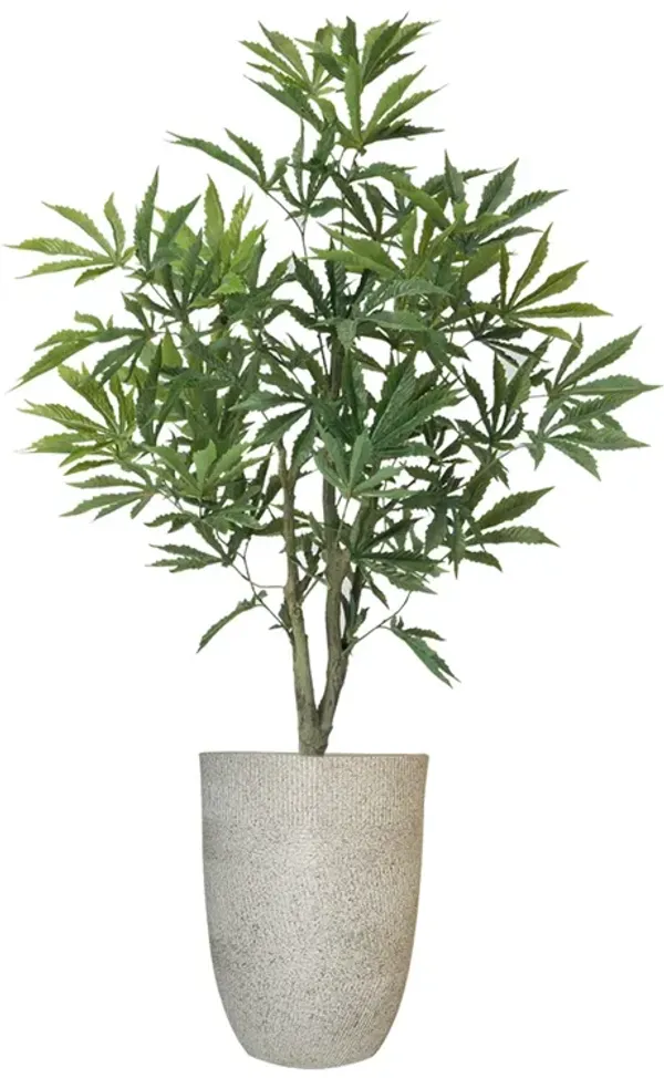 36" Faux Artificial Cannabis Plant – Realistic Lifelike Indoor Décor for Home & Office