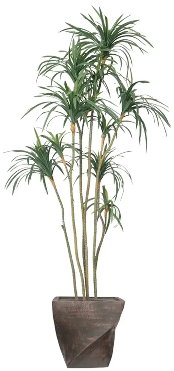 74" Fake Dracaena Dragon Tree