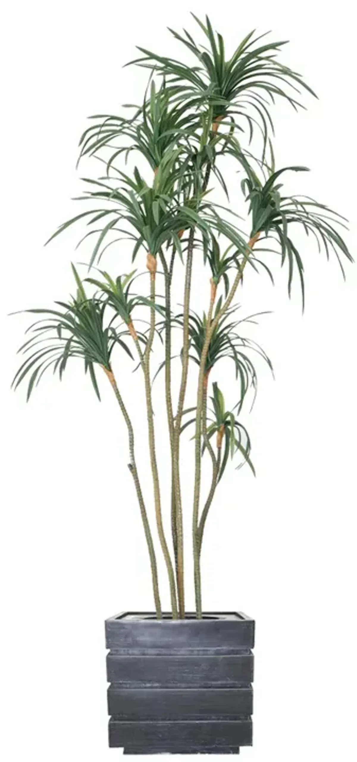 74" Fake Dracaena Dragon Tree | Perfect Indoor and Outdoor Décor
