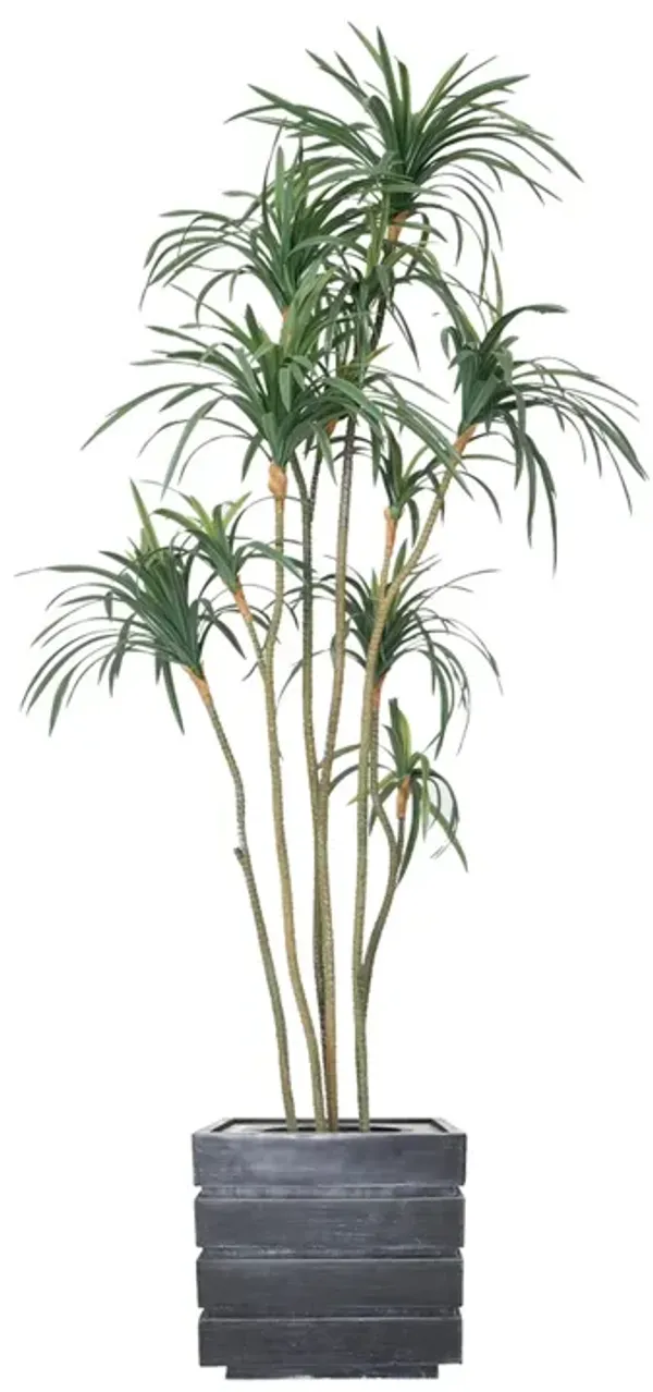 74" Fake Dracaena Dragon Tree | Perfect Indoor and Outdoor Décor