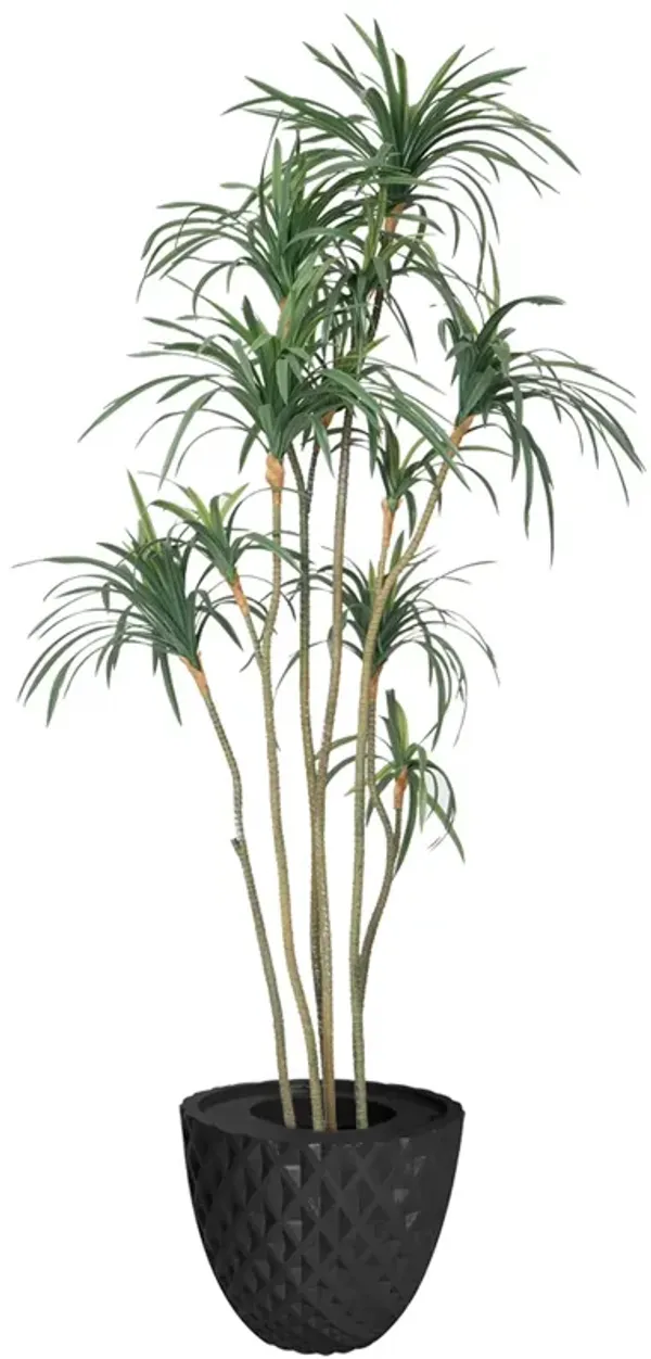 74" Fake Dracaena Dragon Tree