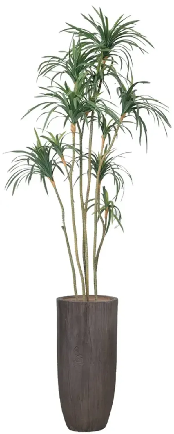 74" Fake Dracaena Dragon Tree