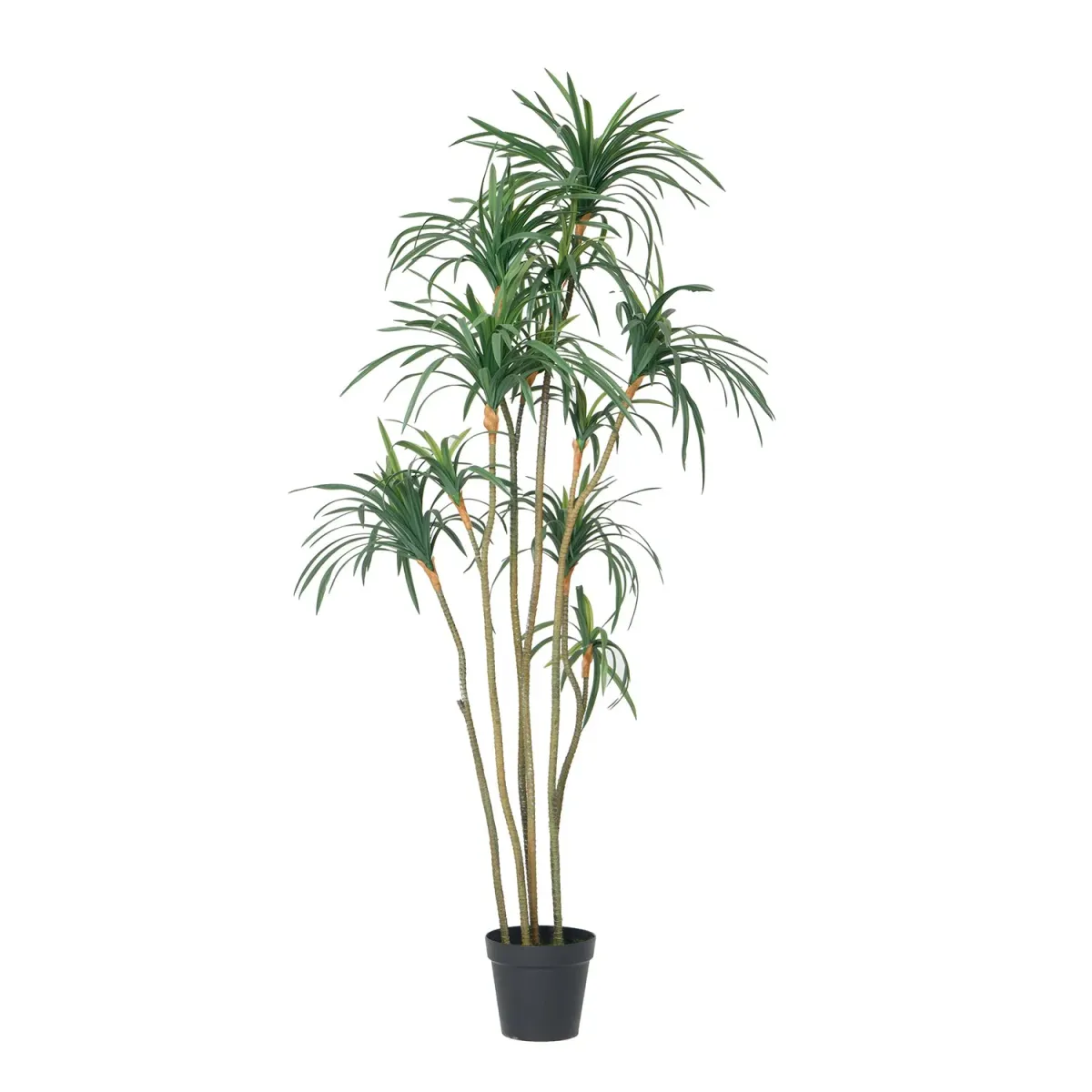 74" Fake Dracaena Dragon Tree | Perfect Indoor and Outdoor Décor