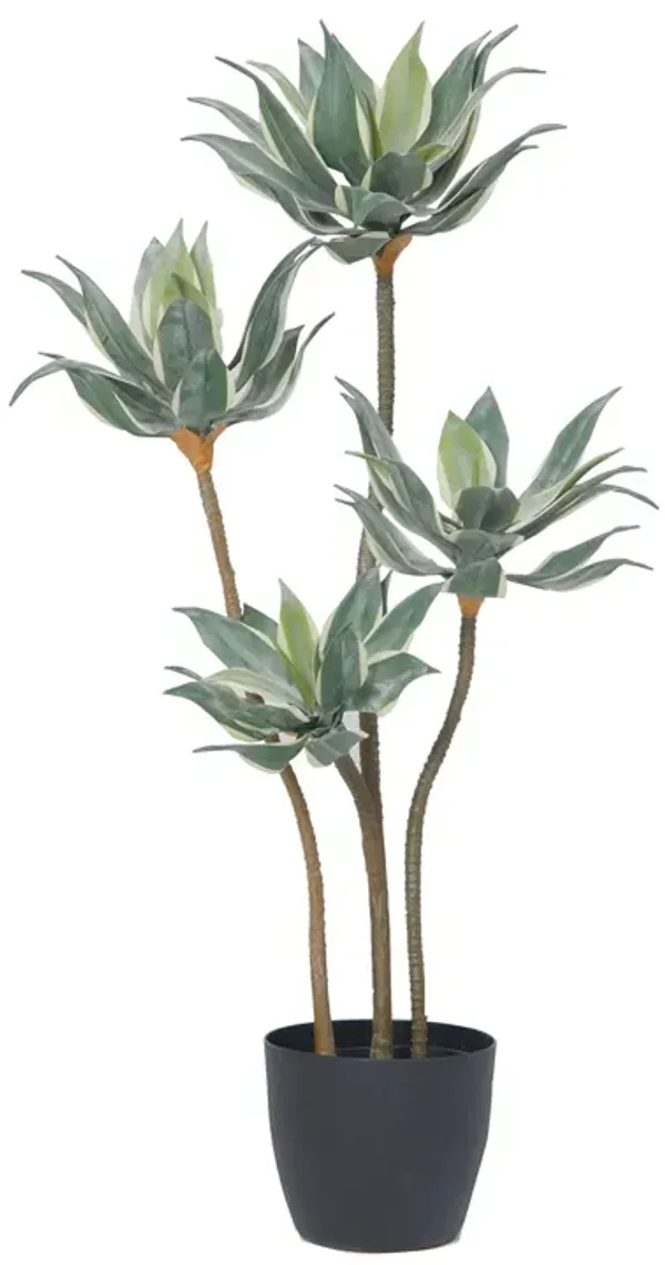 50" Vintage Real Touch Faux Succulent in a black pot - perfect for indoor and outdoor modern décor