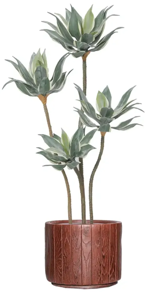 50" Vintage Real Touch Faux Succulent in a black pot - perfect for indoor and outdoor modern décor