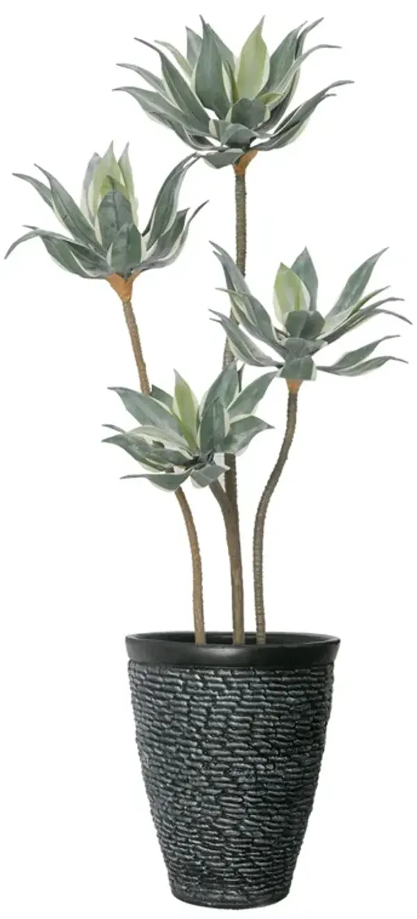 50" Vintage Real Touch Faux Succulent in a black pot - perfect for indoor and outdoor modern décor