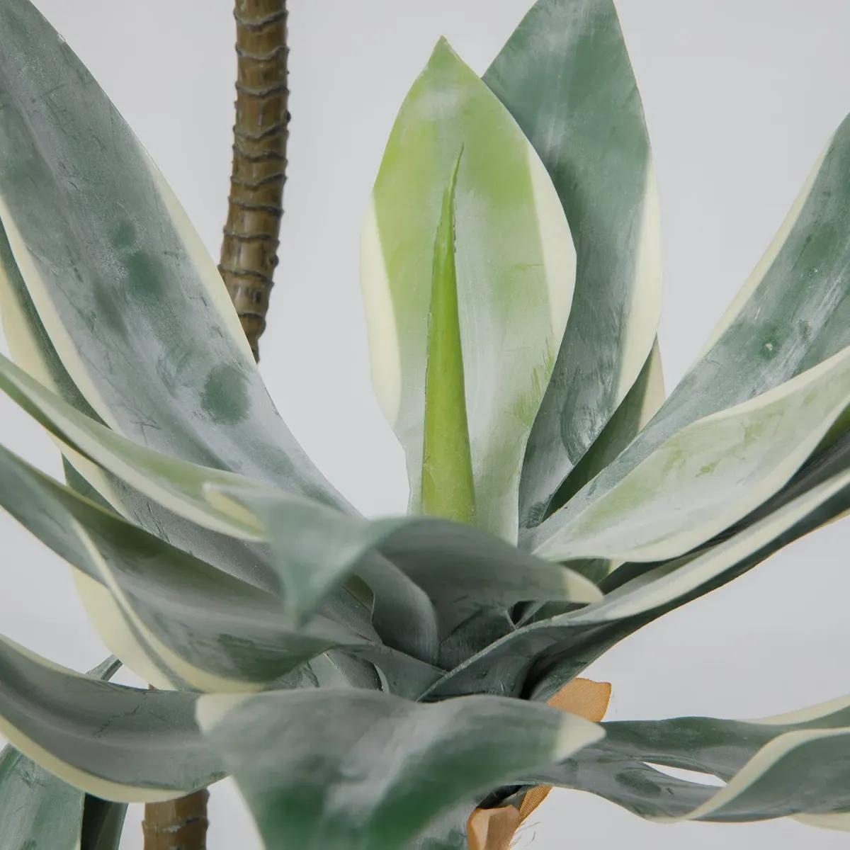 50" Vintage Real Touch Faux Succulent in a black pot - perfect for indoor and outdoor modern décor