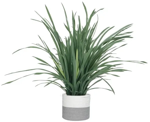 36" Vintage Real Touch Faux Lemongrass - Perfect for indoor and outdoor summer décor