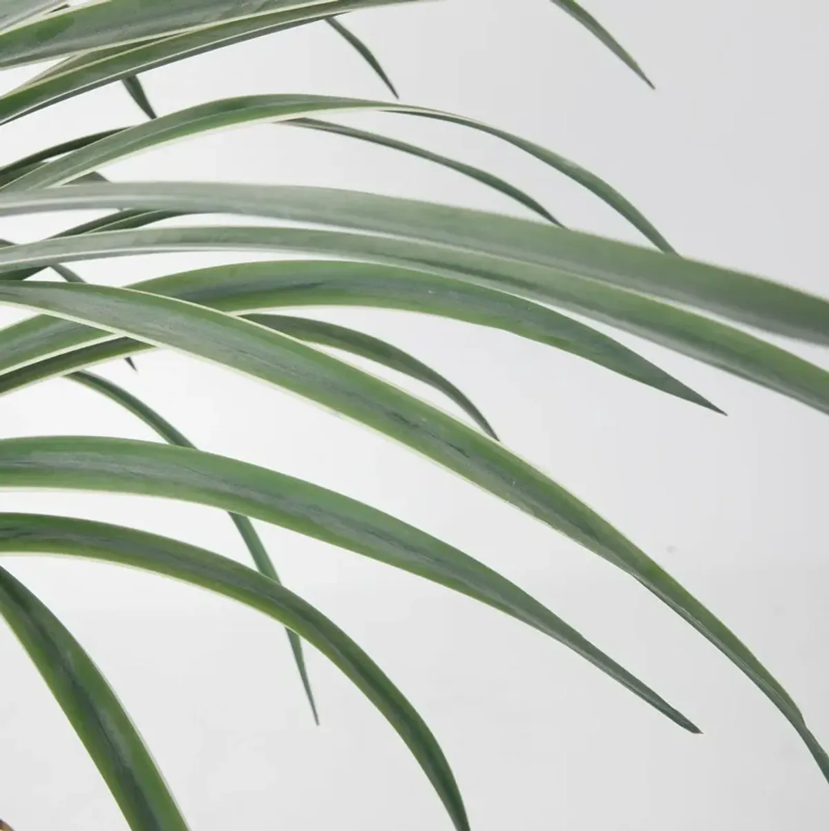 78" Vintage Real Touch Fake Dracaena Dragon Tree in a cute rope basket- Perfect for indoor and outdoor Décor