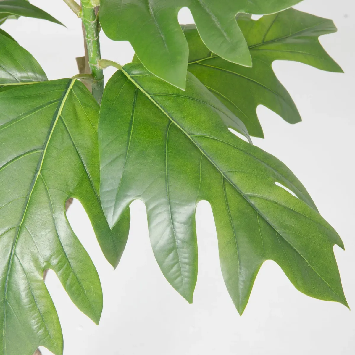 70" Vintage Real Touch artificial Breadfruit Tree in a black pot- Perfect for indoor and Outdoor use