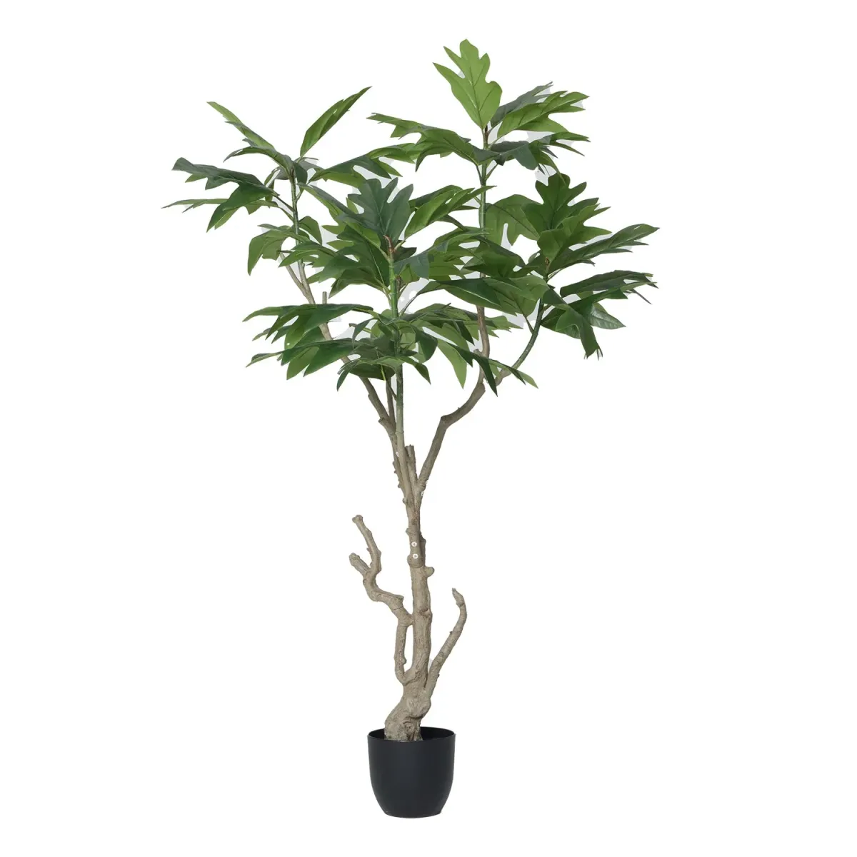 70" Vintage Real Touch artificial Breadfruit Tree in a black pot- Perfect for indoor and Outdoor use