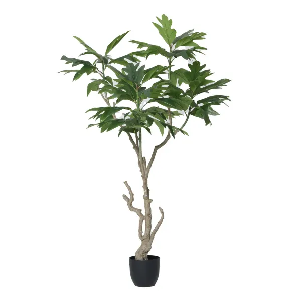 70" Vintage Real Touch artificial Breadfruit Tree in a black pot- Perfect for indoor and Outdoor use
