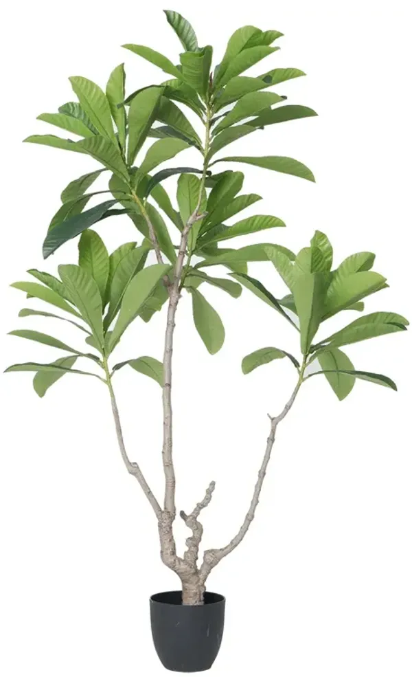 70" Vintage Real Touch Artificial Japanese Blueberry Tree in a black pot