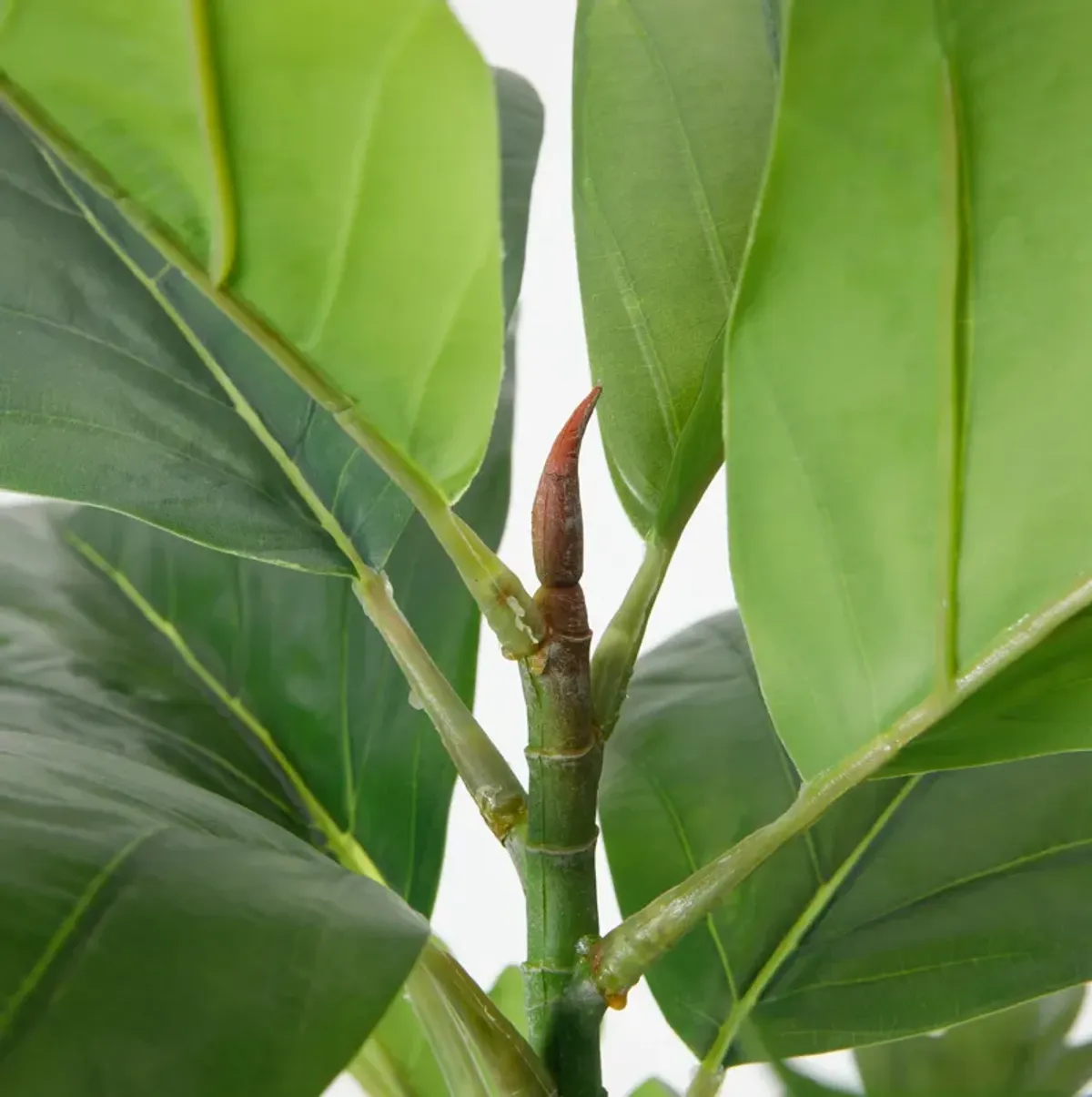 67" Vintage Real Touch Artificial Breadfruit tree in a black pot- Perfect for indoor and Outdoor use