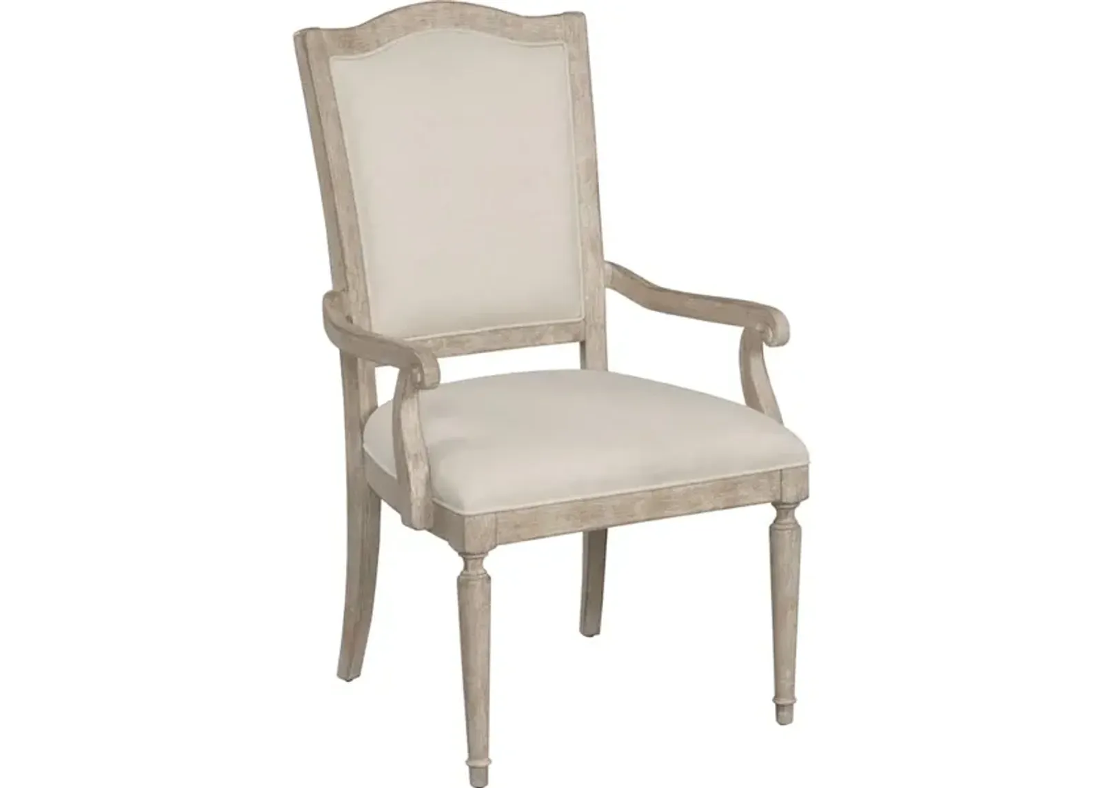 Daniella Upholstered Arm Chair - Breve