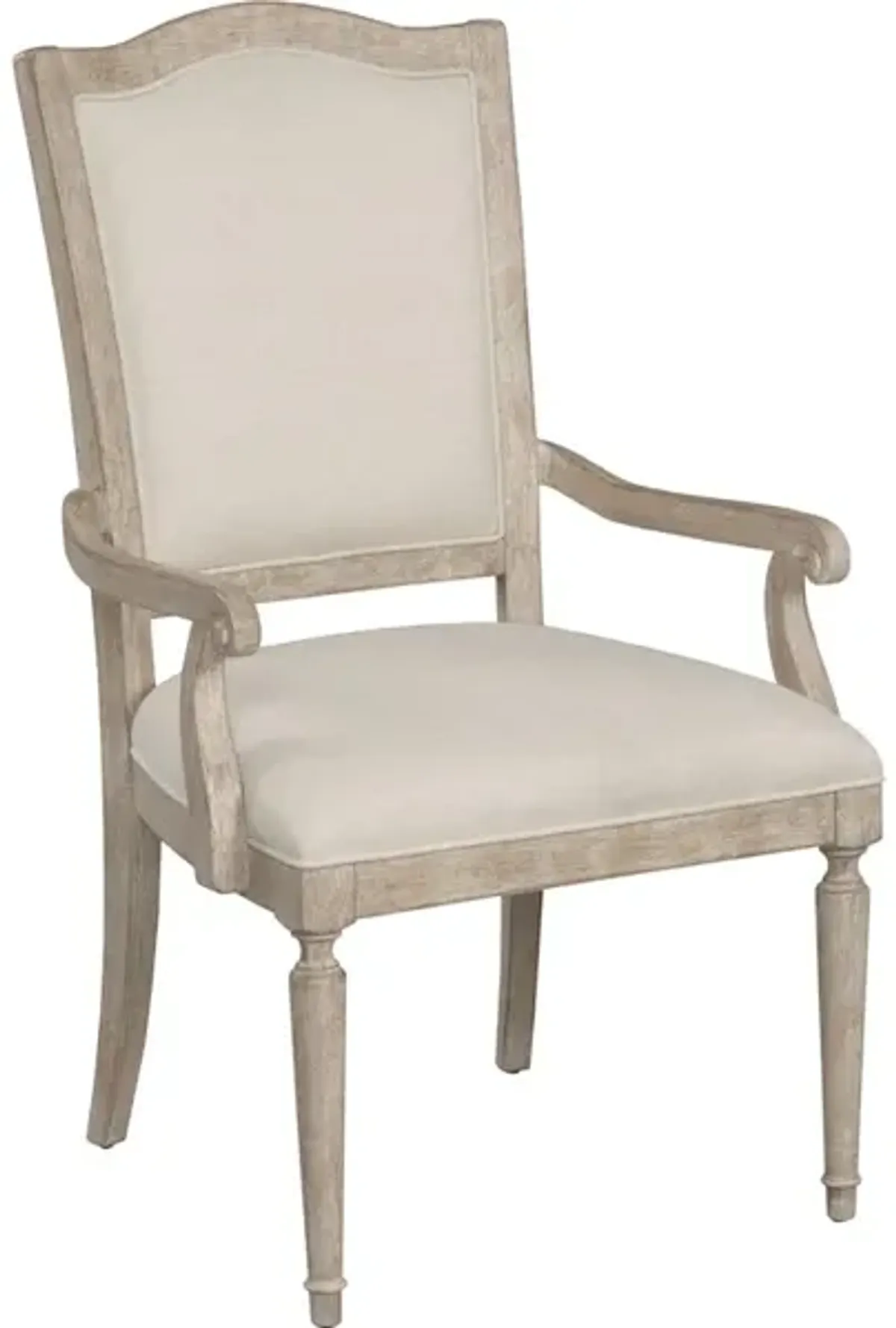 Daniella Upholstered Arm Chair - Breve