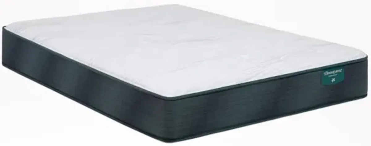 Harmony Beachfront Bay 12.25'' Plush Mattress -Twin XL