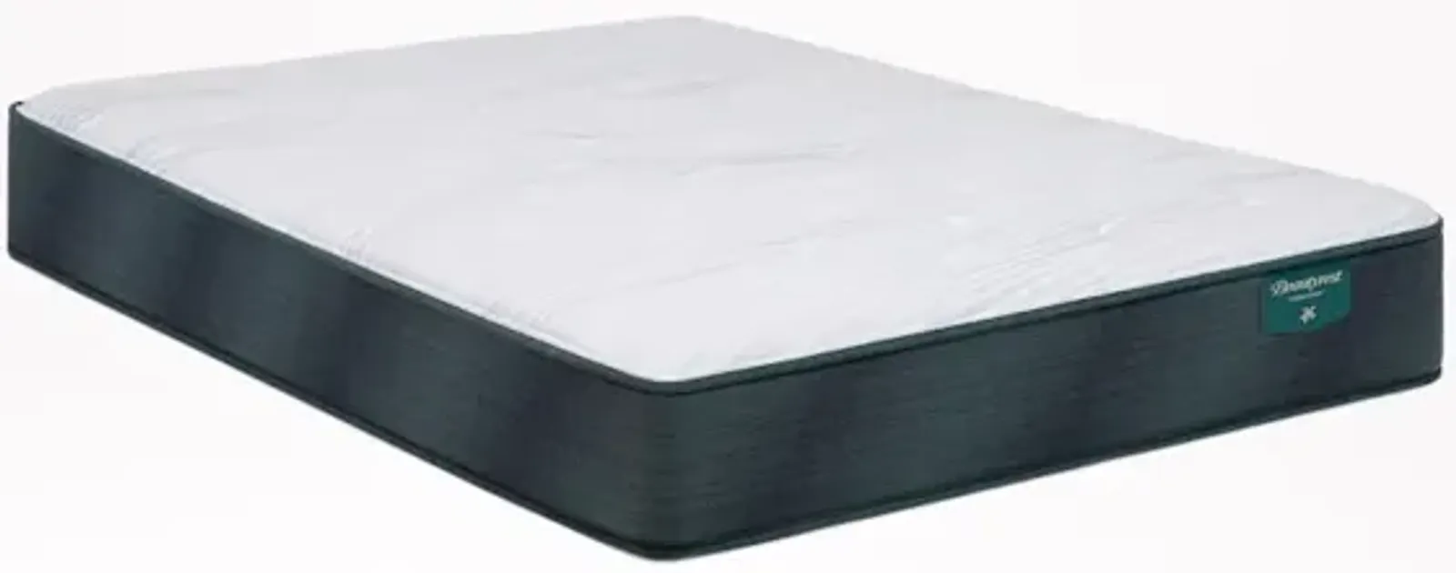 Harmony Beachfront Bay 12.25'' Plush Mattress -Queen