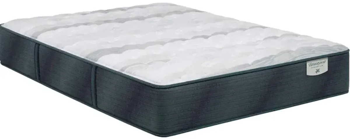 Harmony Lux Anchor Island 12.5'' Firm Mattress -Queen