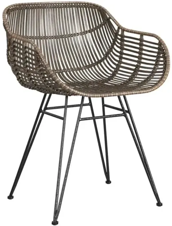 Ryanne Arm Dining Chair