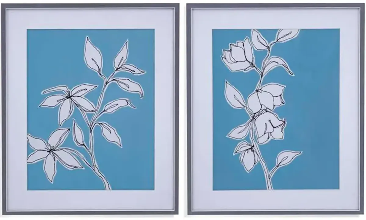 Botanic Drawing I Framed Print