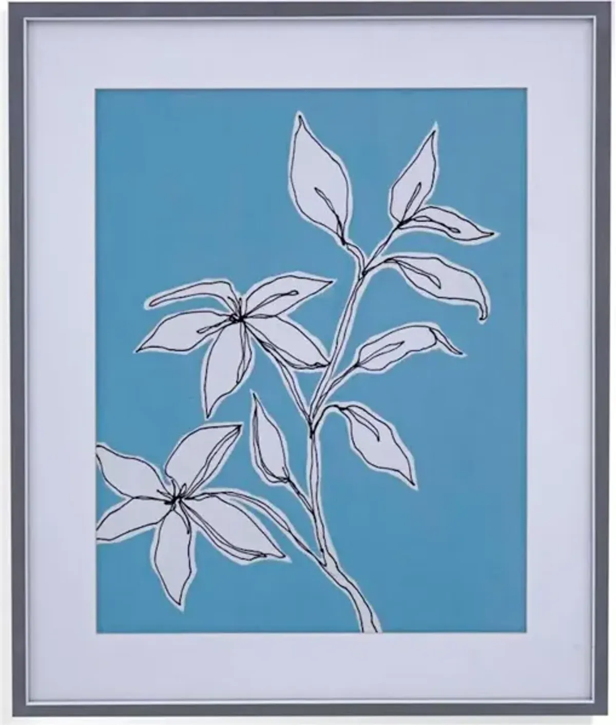 Botanic Drawing I Framed Print