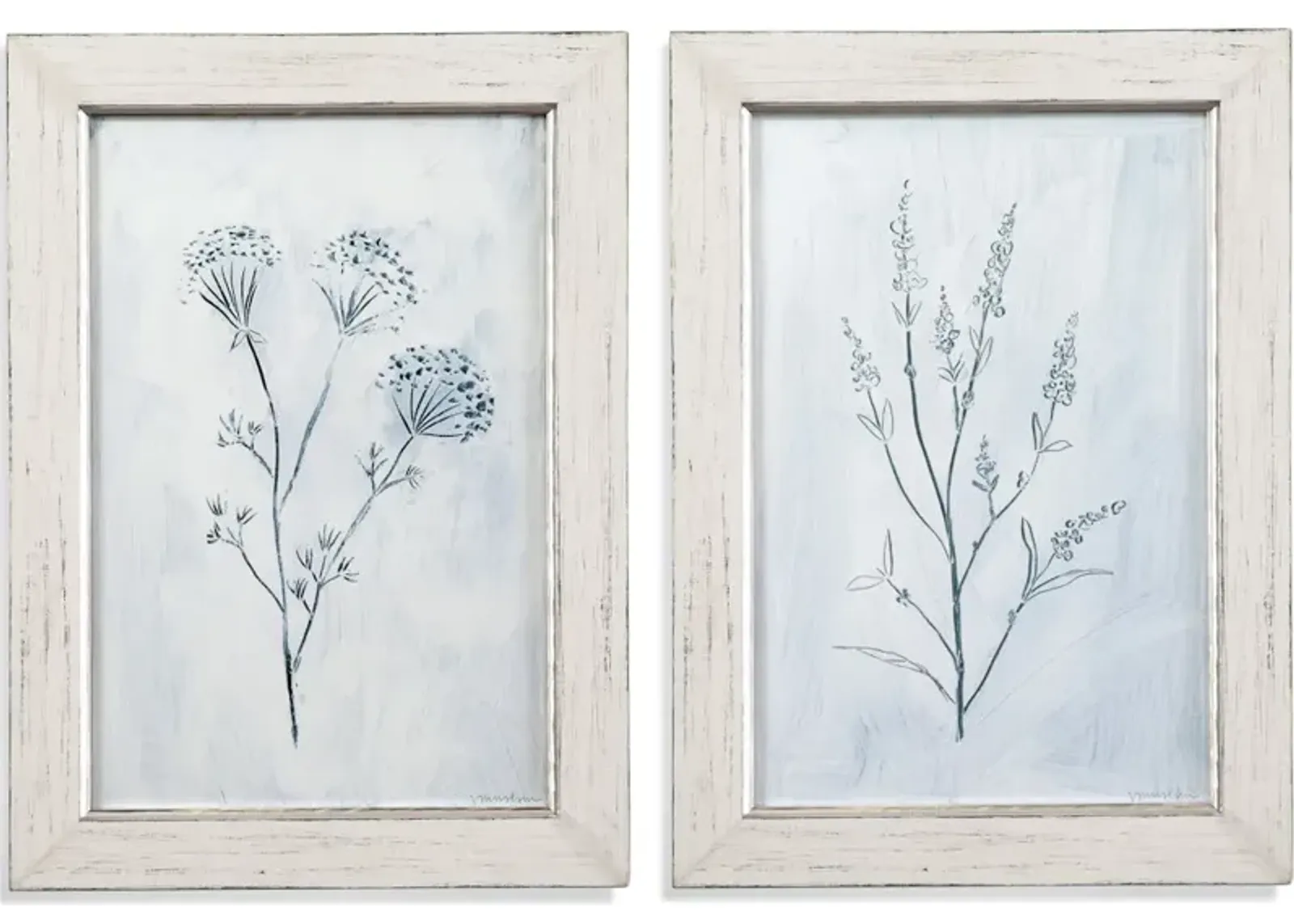 Art - Milkweeds Set of 2