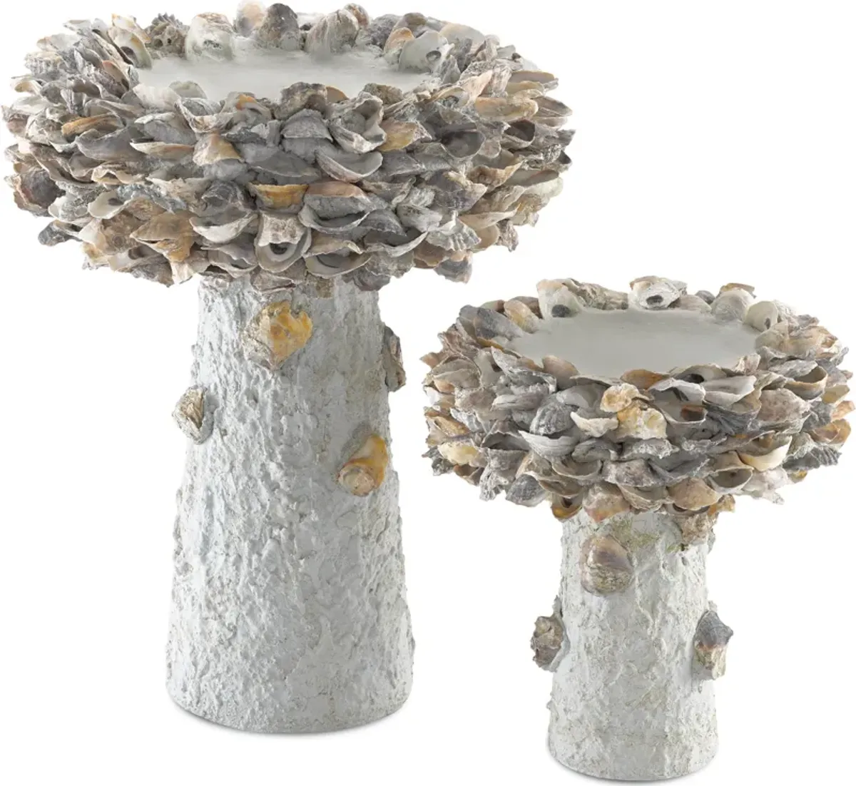 Oyster Shell Medium Bird Bath