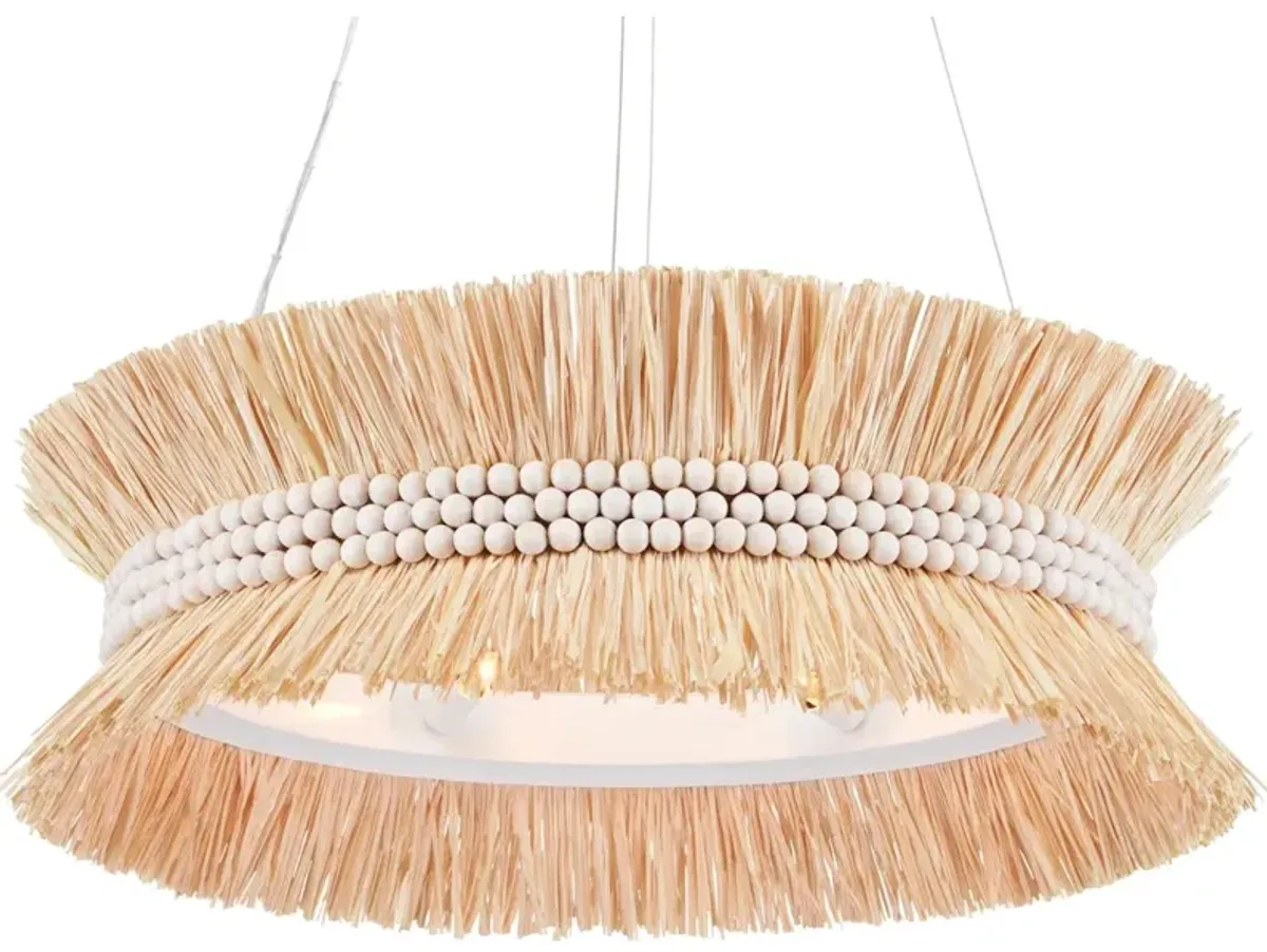 Seychelles Chandelier