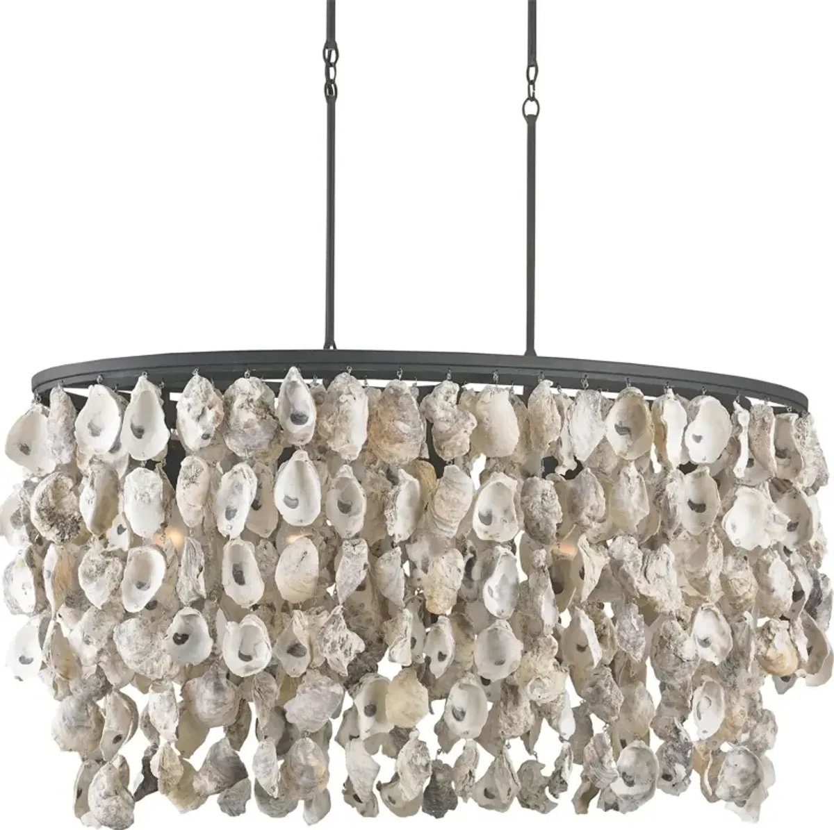 Stillwater Oyster Shell Oval Chandelier